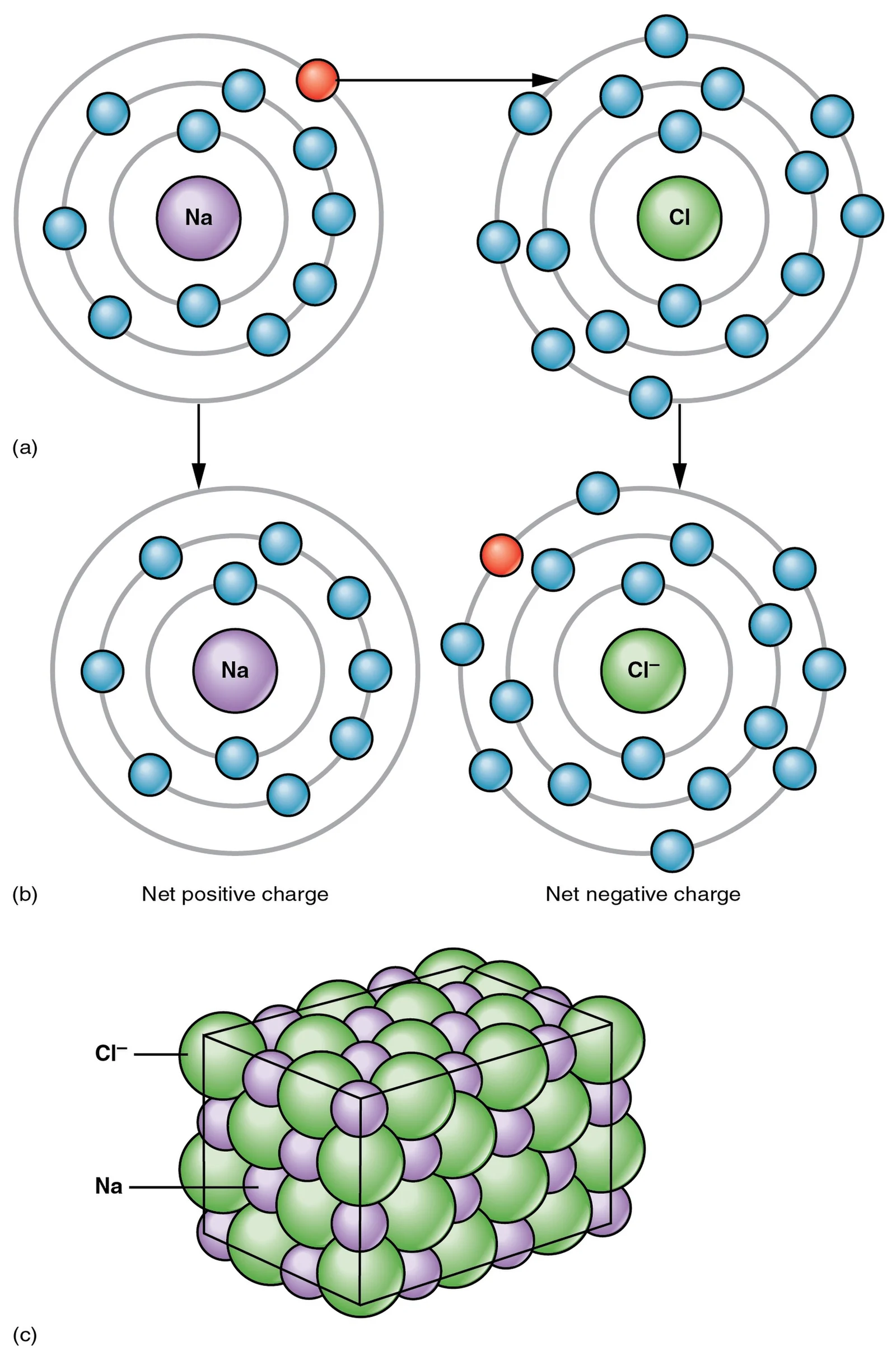 Ionic bonding: sodium donates an electron to chlorine.
