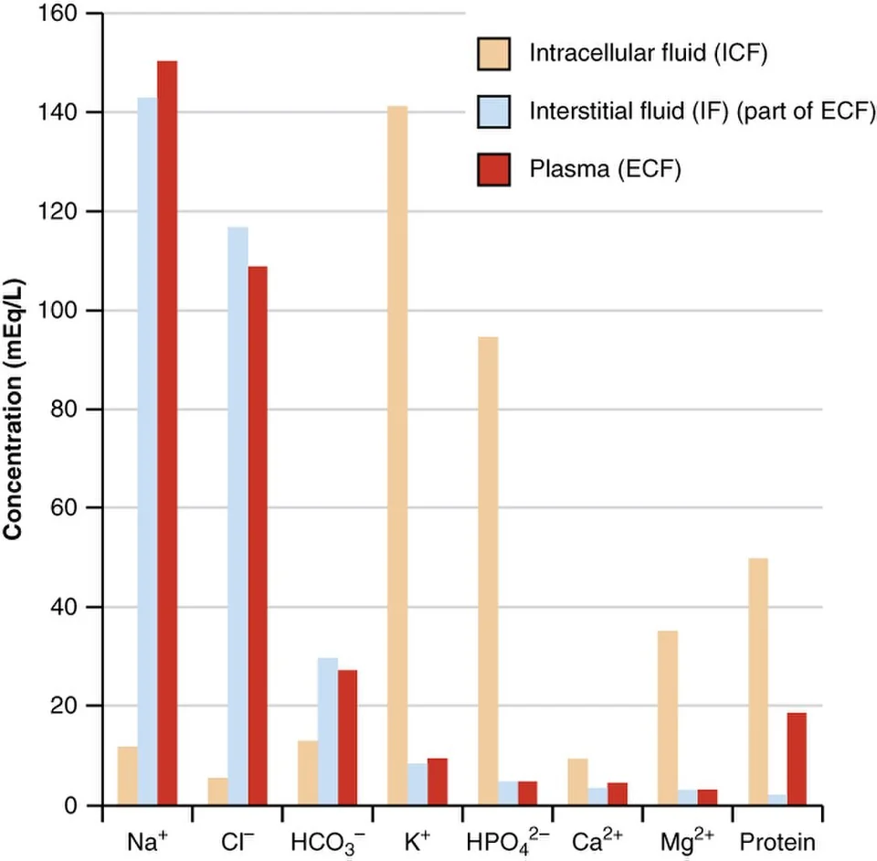 Electrolyte composition of ICF, interstitial fluid and plasma.