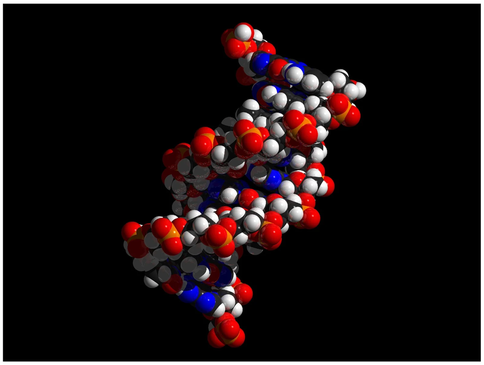 DNA, genes and chromosomes.