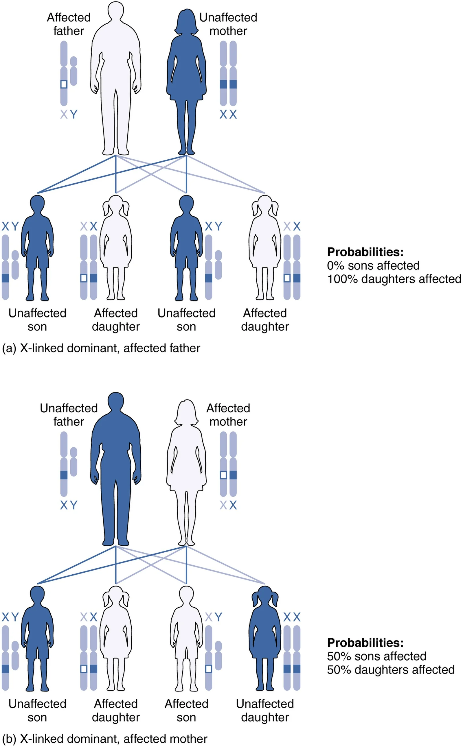 X-linked dominant inheritance.
