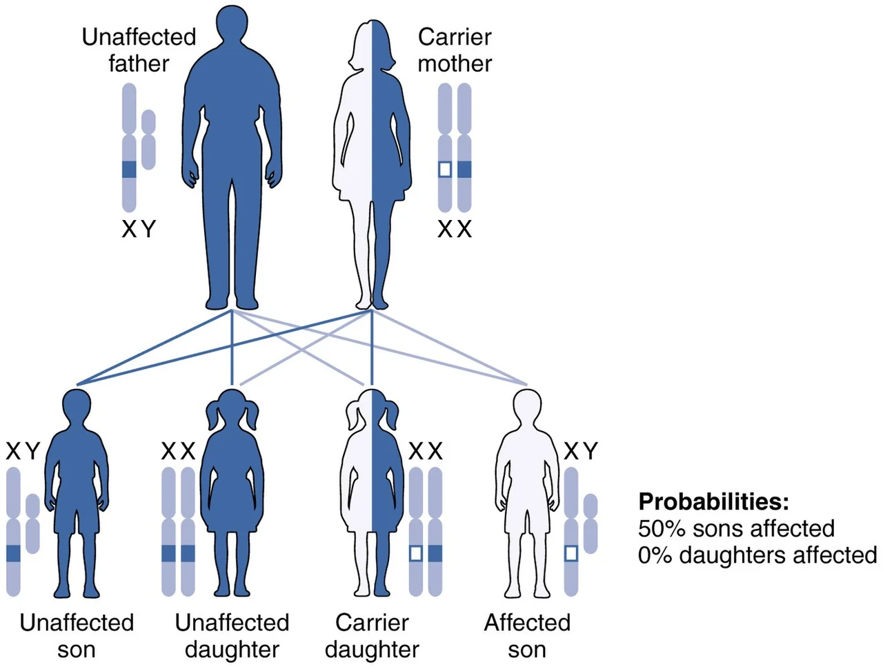 X-linked recessive inheritance.
